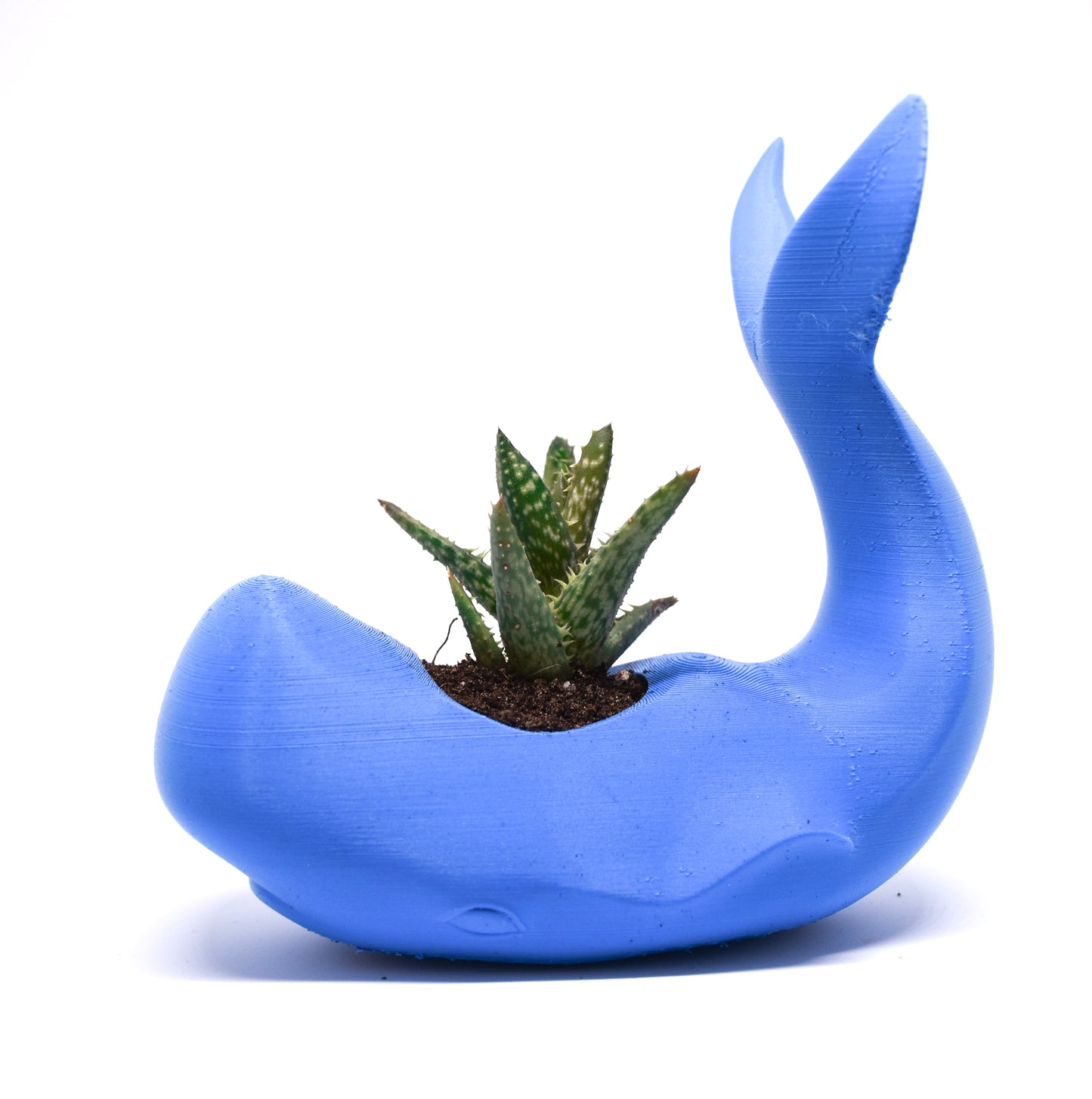 Whale vase