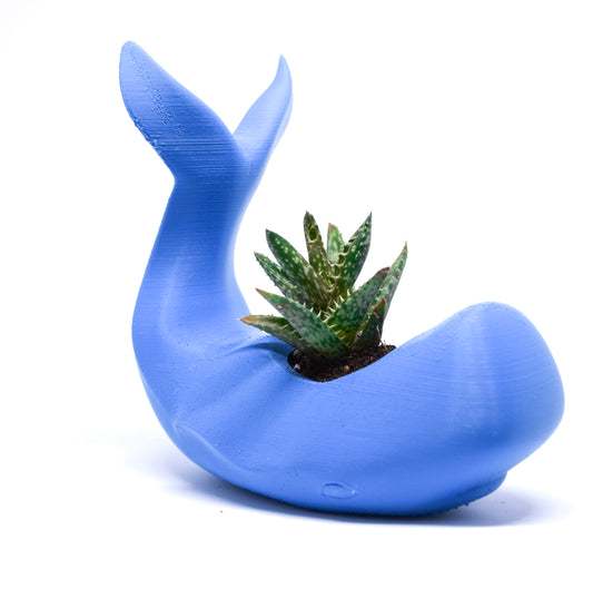 Whale vase