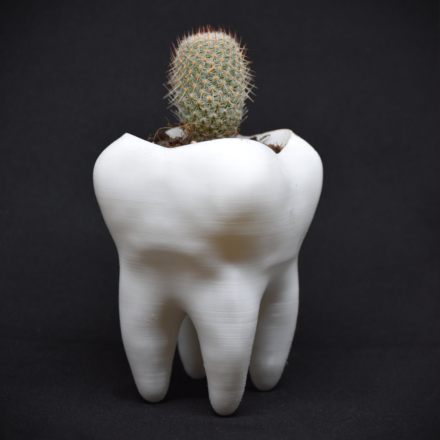 Teeth Vase